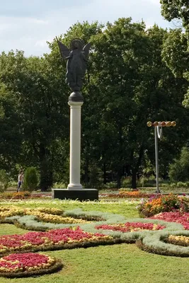 В саду Шевченко в Харькове растут вековые дубы, которым поклонялась  Цветаева (ФОТО) | РЕДПОСТ