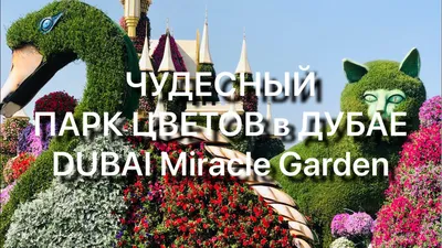 Цветочный Сад Чудес в Дубае 5 сезон 2016 - 2017