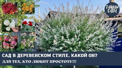 Сад в деревенском стиле | Птичка Степная | Дзен