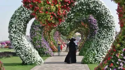 Сад чудес в Дубае. Dubai Miracle Garden - Телеканал «Моя Планета»