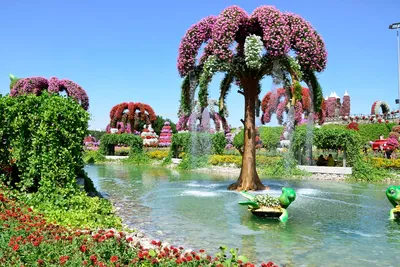 Парк цветов в Дубае Miracle Garden - Описание и Фото - Цены