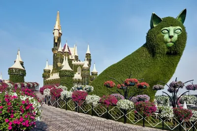 Парк цветов в Дубае удивляет прямо со входа! Dubai miracle garden - YouTube