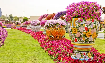Dubai Miracle Garden (\"Чудо-Сад\" в Дубае) | Ландшафтный дизайн садов и  парков