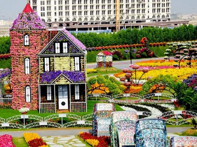 Парк Dubai Miracle Garden: обзор, цена | Посетите Дубай
