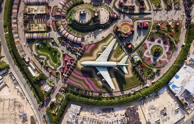 Dubai Miracle Garden, Дубай, ОАЭ - «Очаровательный сад Чудес, цветущий  зимой.» | отзывы