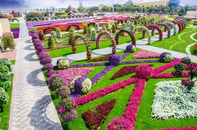 САД ЧУДЕС (Miracle Garden) в Дубае с более чем 150 миллионами цветов и 120  видами растений является крупнейшим в мире естественным… | Instagram
