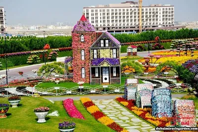 Чудо-Сад\" в Дубае (Dubai Miracle Garden). Обсуждение на LiveInternet -  Российский Сервис Онлайн-Дневников