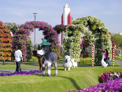 Парк цветов в Дубае 2022 | Dubai Miracle Garden | Сад Чудес | Дубай 2022 -  YouTube