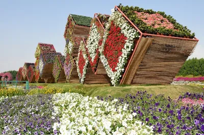Dubai Miracle Garden - Парк цветов в Дубае, ОАЭ | Туристино