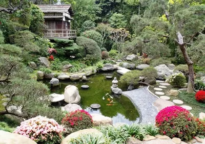 Сад в японском стиле: какие растения выбрать для дачи | myDecor
