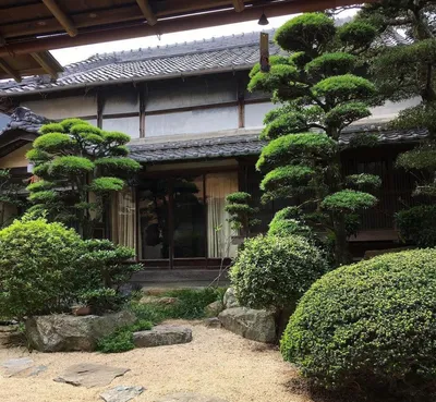 Японский стиль: ТОП-10 правил для создания символичного и загадочного сада