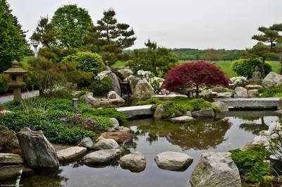сады китая и японии | Сад дзен, Идеи для садового дизайна, Садовый водопад