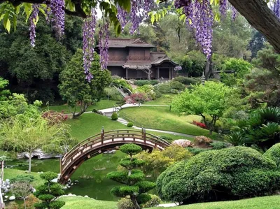 Портлендский японский сад — Википедия