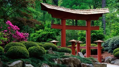 Сады в японском стиле | Стили в ландшафте