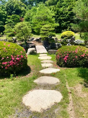 планировка японского сада в ландшафтном дизайне: 6 тыс изображений найдено  в Яндекс.Картинках | Дизайн сада, Японский сад, Ландшафт