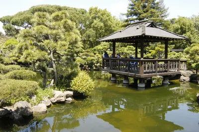 Сад в японском стиле стоковое фото. изображение насчитывающей день -  112740378