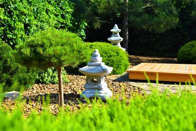 Сад в японском стиле | Фото