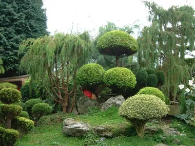 Сад в японском стиле предполагает главный акцент на природных камнях