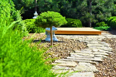 12 секретов аутентичности для уголка в духе японского сада. Фото — Ботаничка
