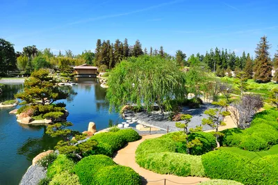 японский сад Запорожье, сад в японском стиле Запорожье, японский сад,  ландшафтный дизайн Запорожье | Royal Forest