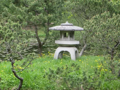 Японский сад для семьи Всеволода Овчинникова