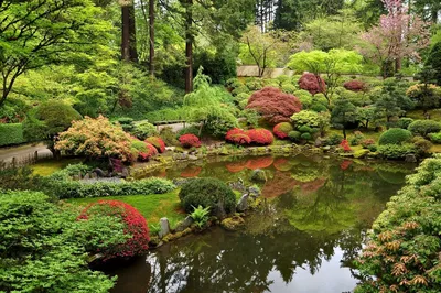 Сад в японском стиле: фото идеи оформления - ReeHouse