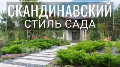 Естественная природа севера на участке. Пётр Лари о Cкандинавском стиле сада  - YouTube
