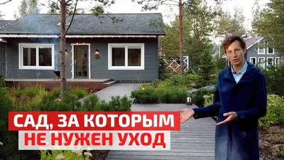 Участки и сады в скандинавском стиле с садовой дорожкой или калиткой – 135  лучших фото, ландшафтный дизайн участка, сада и огорода | Houzz Россия