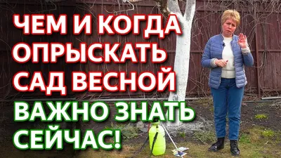 Лучшие места для весенних фотосессий в Подмосковье: сады, усадьбы, фермы |  Путеводитель Подмосковья