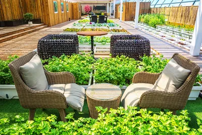 Как киевлянам сделать красивый сад у дома? - kyiv-trend.in.ua