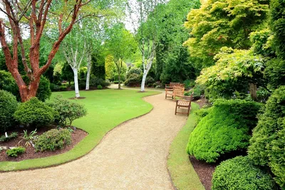 Ландшафтный дизайн дачного и садового участка: 55+ фото, советы и идеи