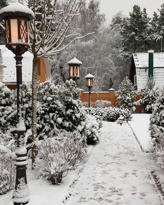 Сады зимой по своему красивы ❄ ⠀ ⠀ ⠀ ⠀ Фото @gardens_and_people #ландшафт  #ландшафтныйдизайн #своимируками #ландшафтныйди… | Зимний сад, Ландшафт,  Дизайн озеленение