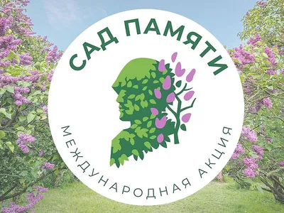Набережные Аланьи - самая интересная информация
