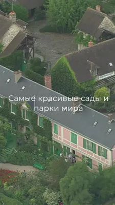 Парк Бонсай 'Энергичный Сад' в Южной Корее | Ландшафтный дизайн садов и  парков