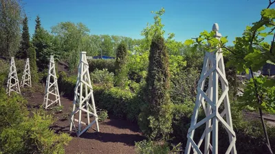 Восточный Сад и Императорский Дворец | Туры в Японию Туроператор по Японии