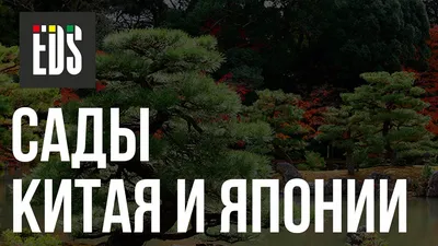 СОЗДАЕМ САД В ЯПОНСКИХ ТРАДИЦИЯХ - АО «Фертика»