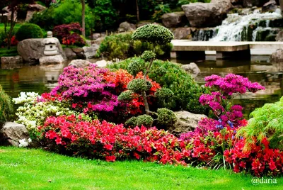 Сад камней «Киото Гарден» в Holland Park. Лондон.