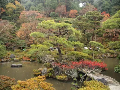 Япония Киото 2014 Japan Kyoto | Япония Киото 2014 Japan Kyot… | Flickr