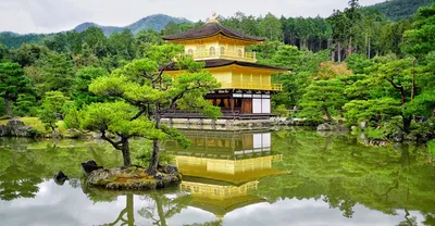 Обои на рабочий стол Garden Staircase, Kyoto, Japan / Лестница в саду,  усыпанная опавшими листьями, Киото, Япония, обои для рабочего стола,  скачать обои, обои бесплатно