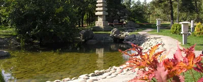 Сад мхов в храме Гиодзи - Киото - Japan Travel