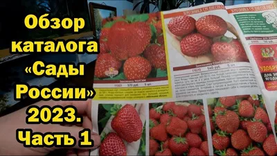 Сады России 2024 | ВКонтакте