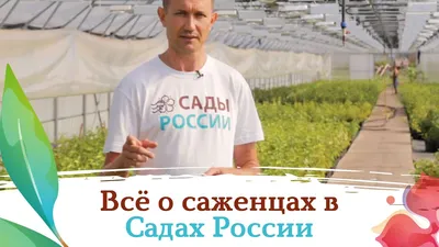 Ботанические сады России | ДВОРЦЫ, САДЫ, ПАРКИ /12+/