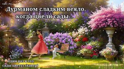 Один раз в год сады цветут — фотоблог Наталии Дорош — Вечерний Гродно
