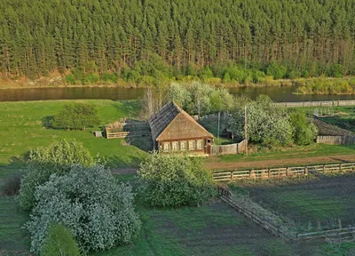 Один раз в год сады цветут — фотоблог Наталии Дорош — Вечерний Гродно