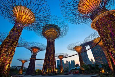 Сады у залива (Gardens by the Bay) Сингапур | Олег Влащенко | Дзен