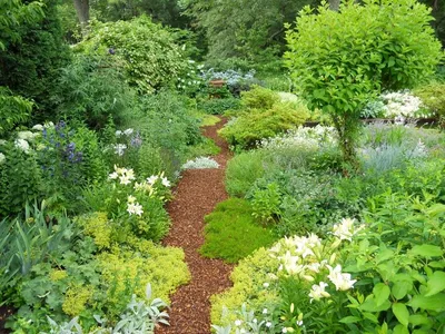 Сады в природном стиле фото фото