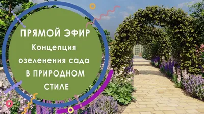 Сад в природном стиле Алена Волкова - купить книгу Сад в природном стиле в  Минске — Издательство АСТ на OZ.by