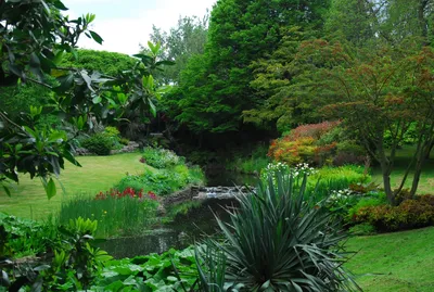 Four Seasons Garden | Ландшафтный дизайн садов и парков