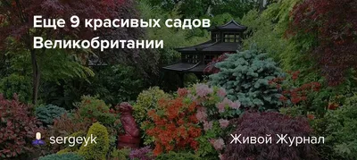 10 самых необычных и красивых садов мира | Путешествия, туризм, наука | Дзен