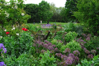 Branklyn Garden (Сад Бранклин) | Ландшафтный дизайн садов и парков